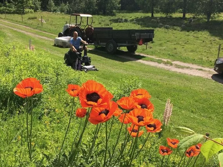 Björnåsen Bear Hill