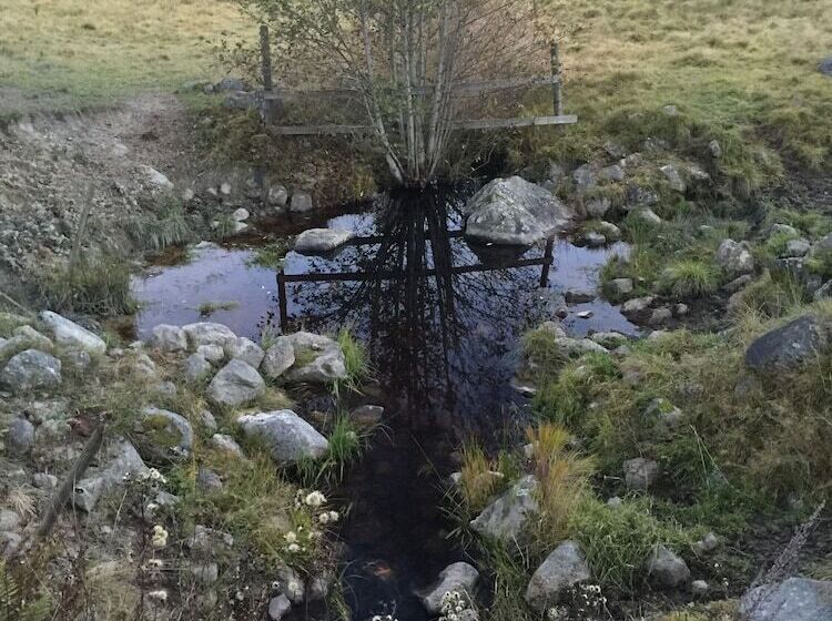 Björnåsen Bear Hill