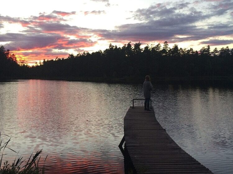 Björnåsen Bear Hill