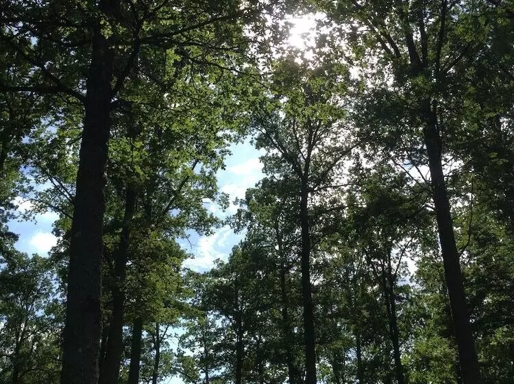 Björnåsen Bear Hill