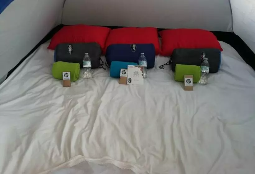 Camping & Travel Antigua   Hostel