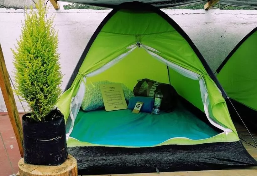 Camping & Travel Antigua   Hostel