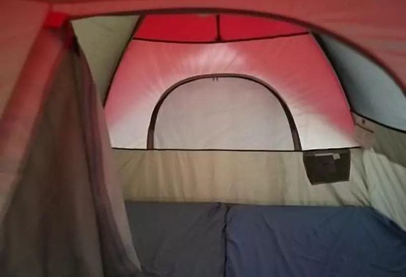 Camping & Travel Antigua   Hostel