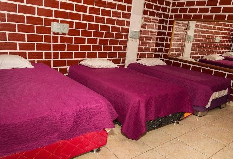 ホテル Albergue La Jungla