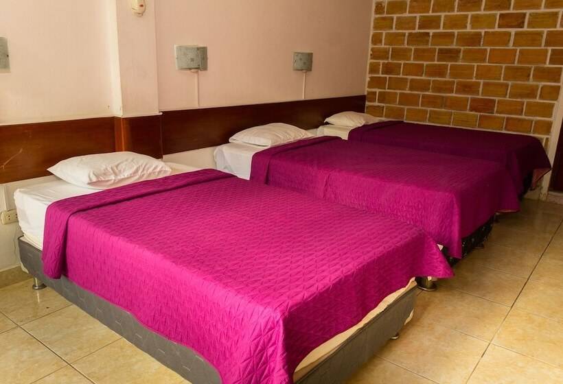 ホテル Albergue La Jungla