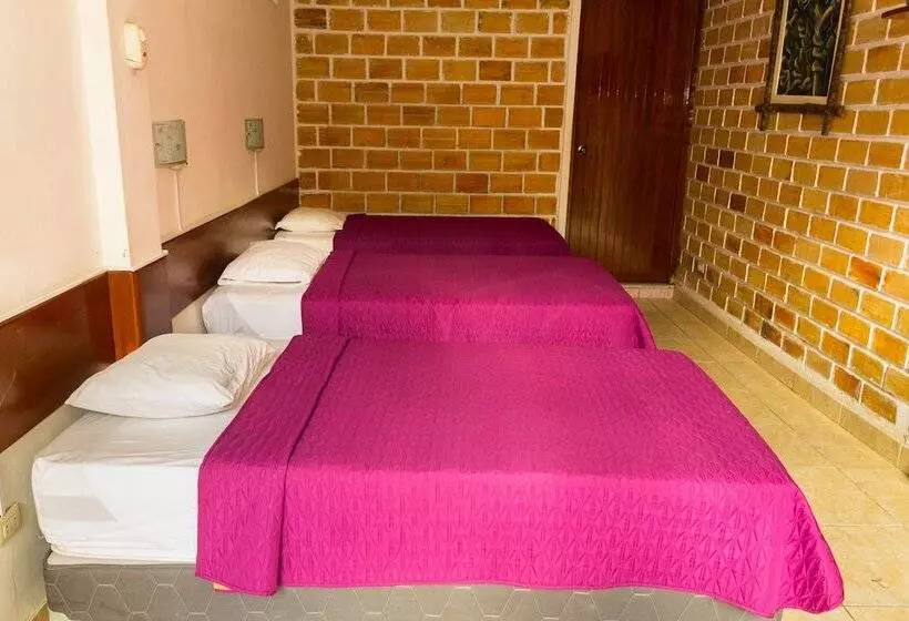 ホテル Albergue La Jungla