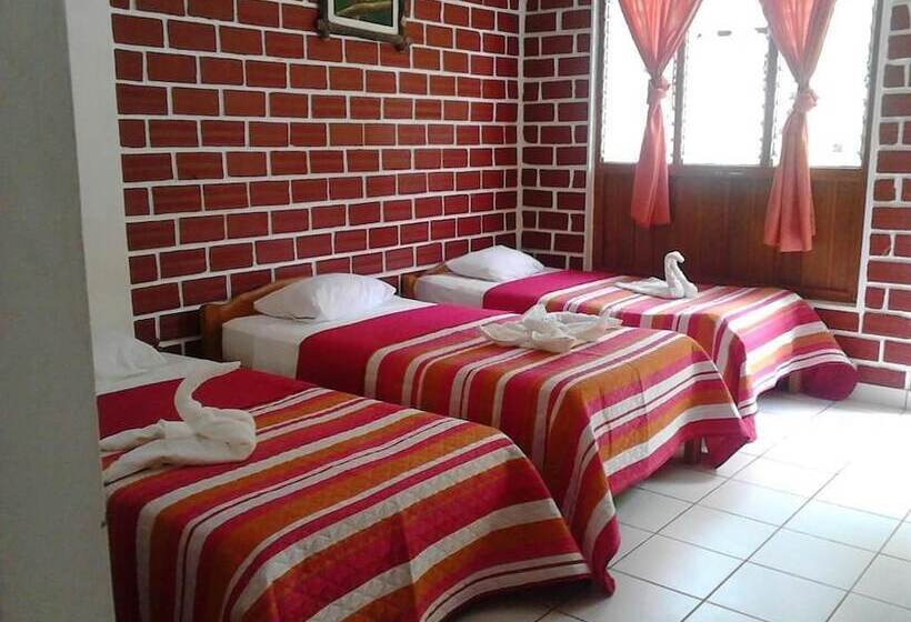 ホテル Albergue La Jungla