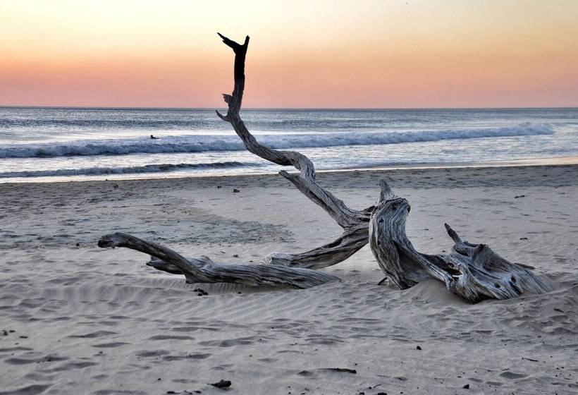 فندق Pazifico Villas