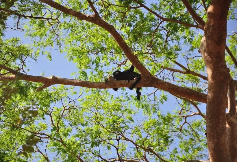 هتل Pazifico Villas