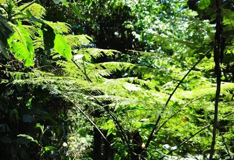 هتل Pazifico Villas