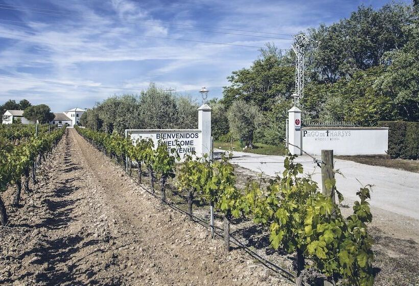 هتل Pago De Tharsys