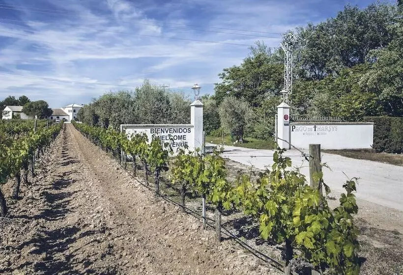 Hotelli Pago De Tharsys