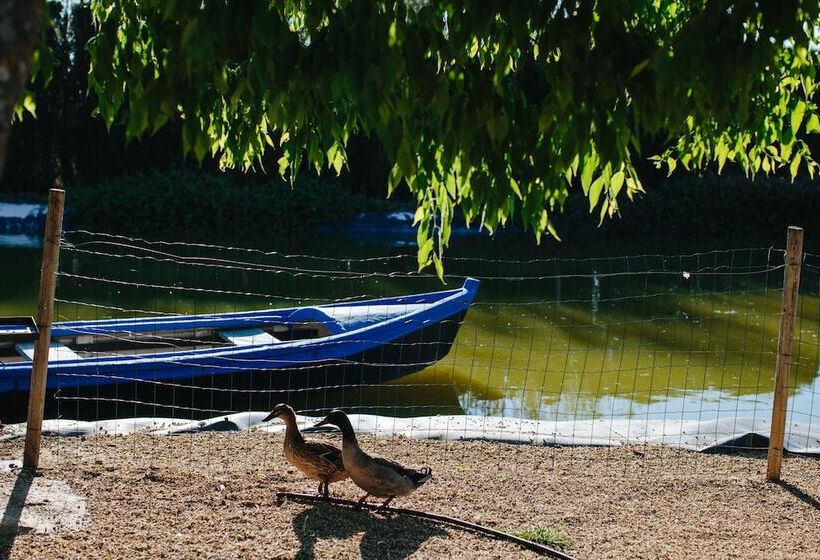 هتل Pago De Tharsys