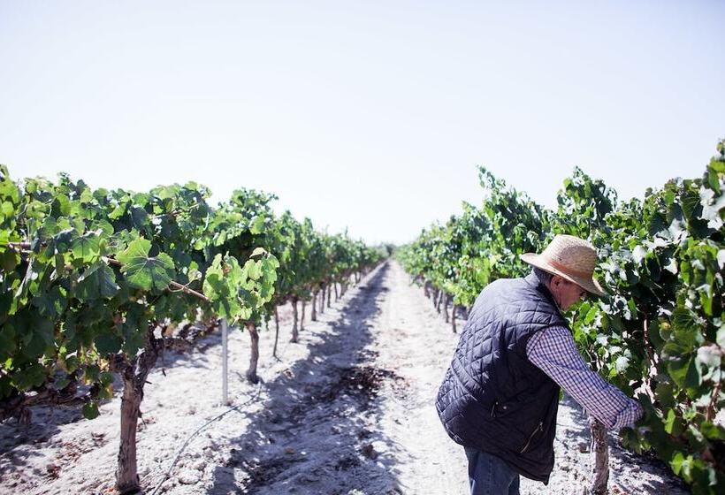 هتل Pago De Tharsys