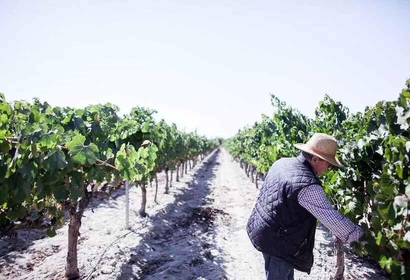 Hotelli Pago De Tharsys