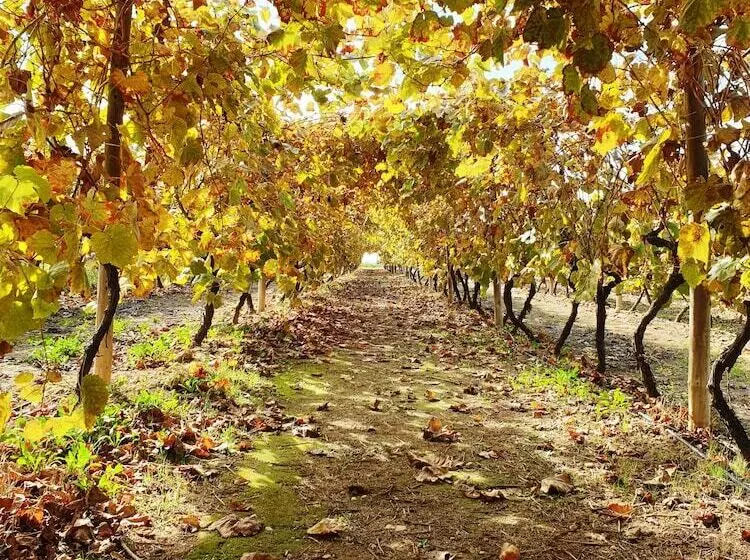 Hotelli Pago De Tharsys