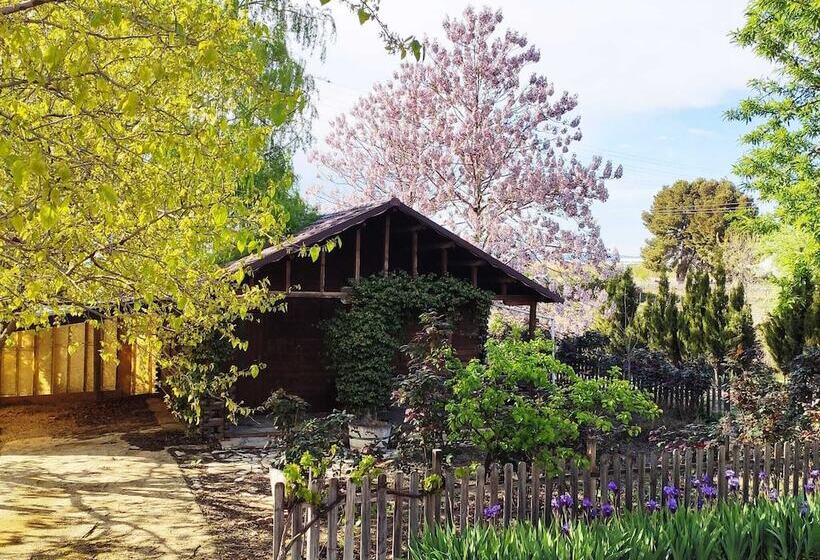 هتل Pago De Tharsys