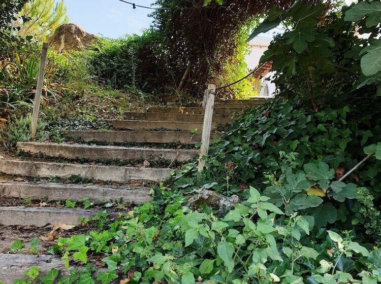 هتل Pago De Tharsys