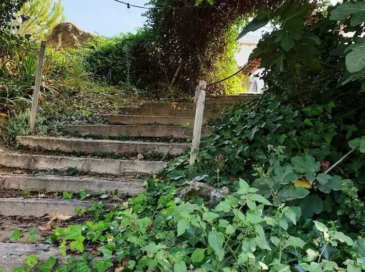 Hotelli Pago De Tharsys