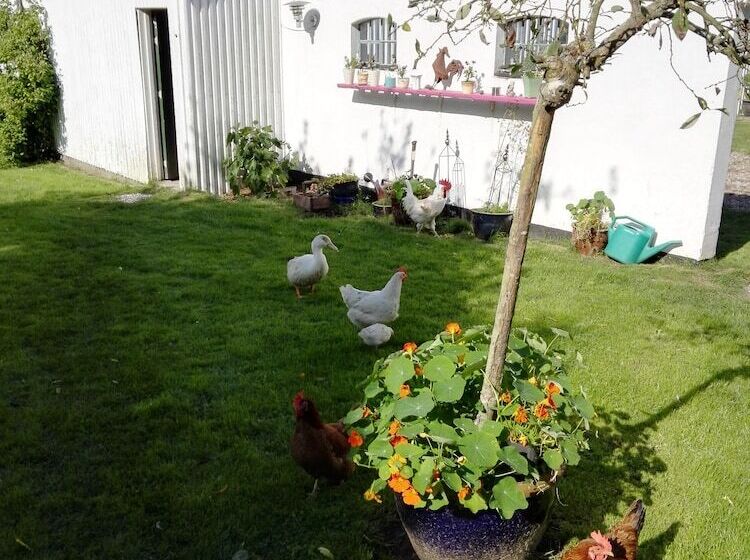 Moen Oekologisk Bed & Breakfast