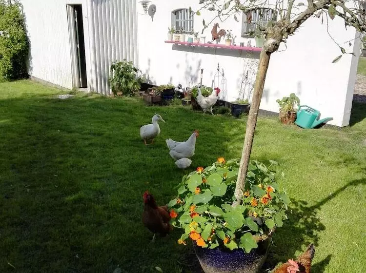 Moen Oekologisk Bed & Breakfast