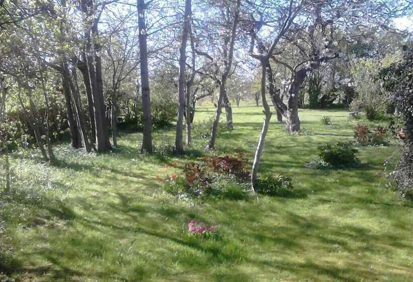 Moen Oekologisk Bed & Breakfast