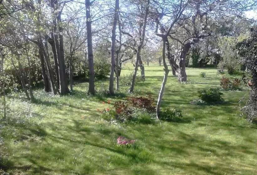 Moen Oekologisk Bed & Breakfast