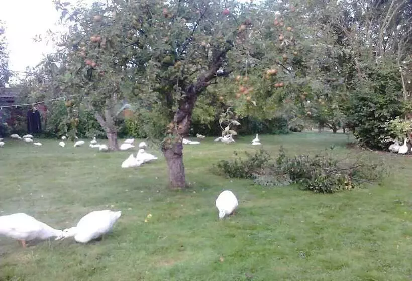 Moen Oekologisk Bed & Breakfast