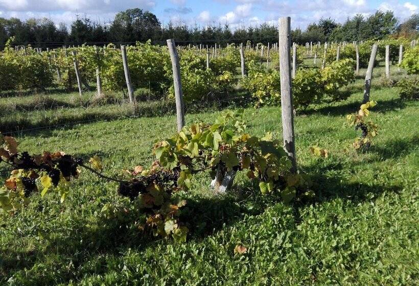 Moen Oekologisk Bed & Breakfast