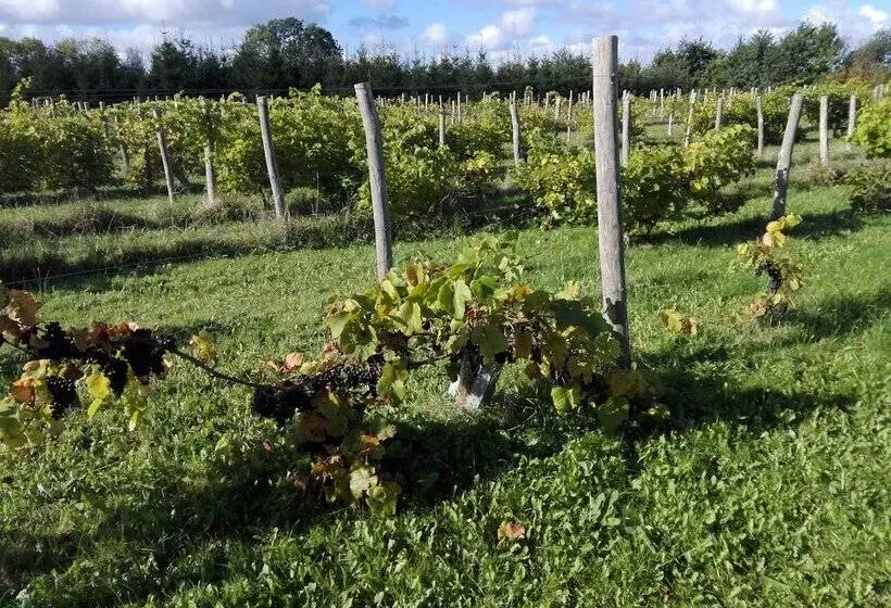 Moen Oekologisk Bed & Breakfast