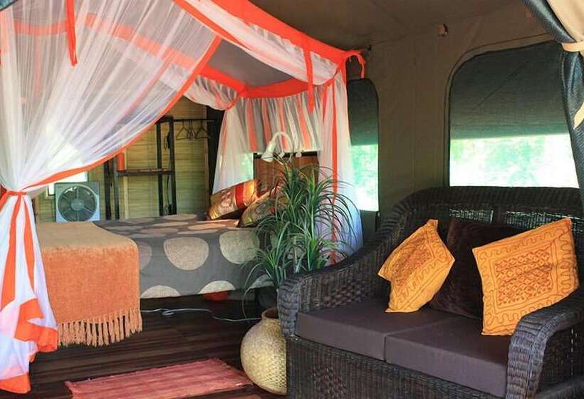 پانسیون Bongwe Guesthouse And Camp