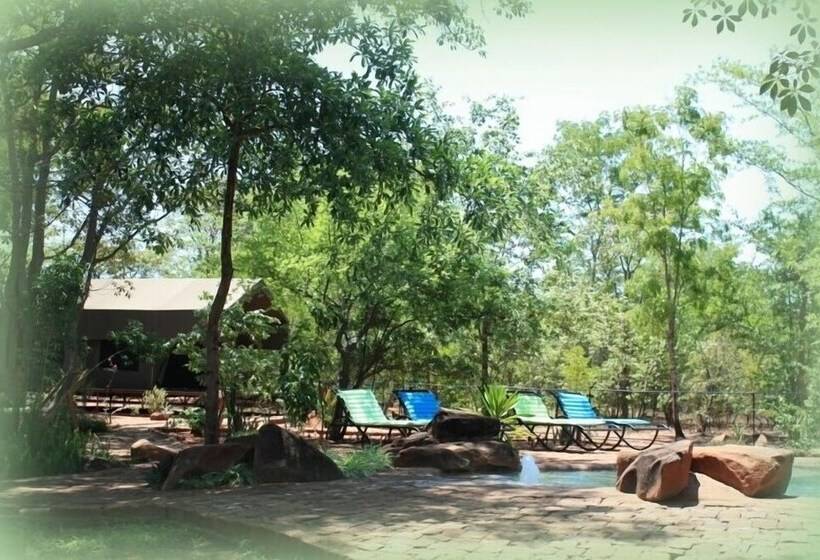 پانسیون Bongwe Guesthouse And Camp