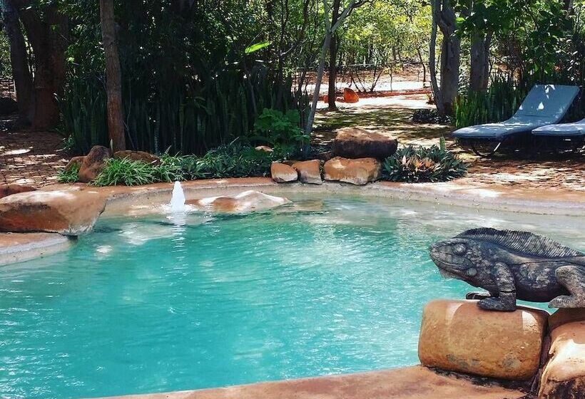 پانسیون Bongwe Guesthouse And Camp