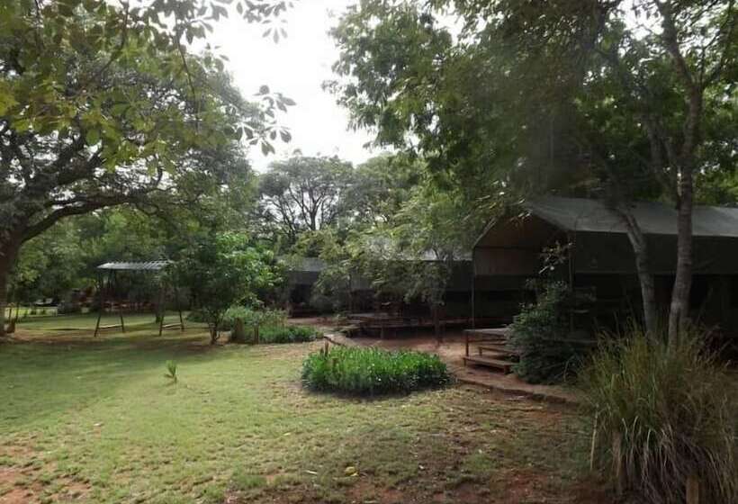 پانسیون Bongwe Guesthouse And Camp