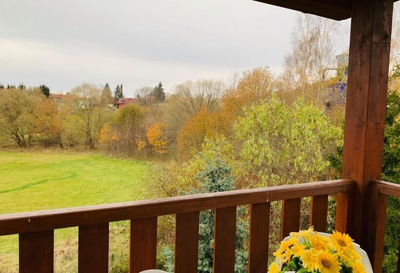 ペンション Penzion Rozalie