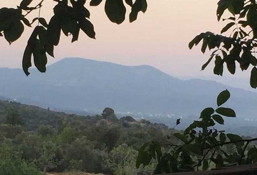 مبيت وإفطار Konak Lapeistra