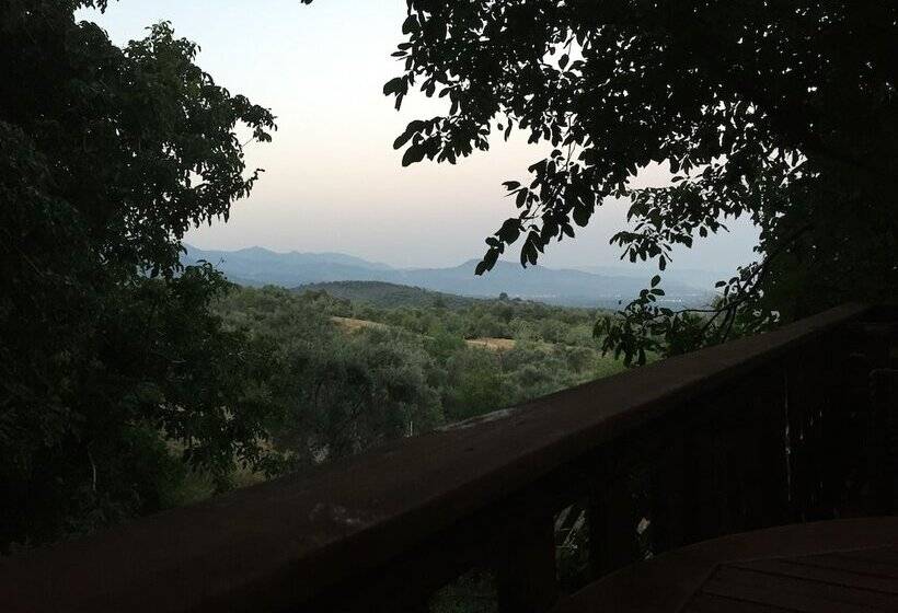 مبيت وإفطار Konak Lapeistra