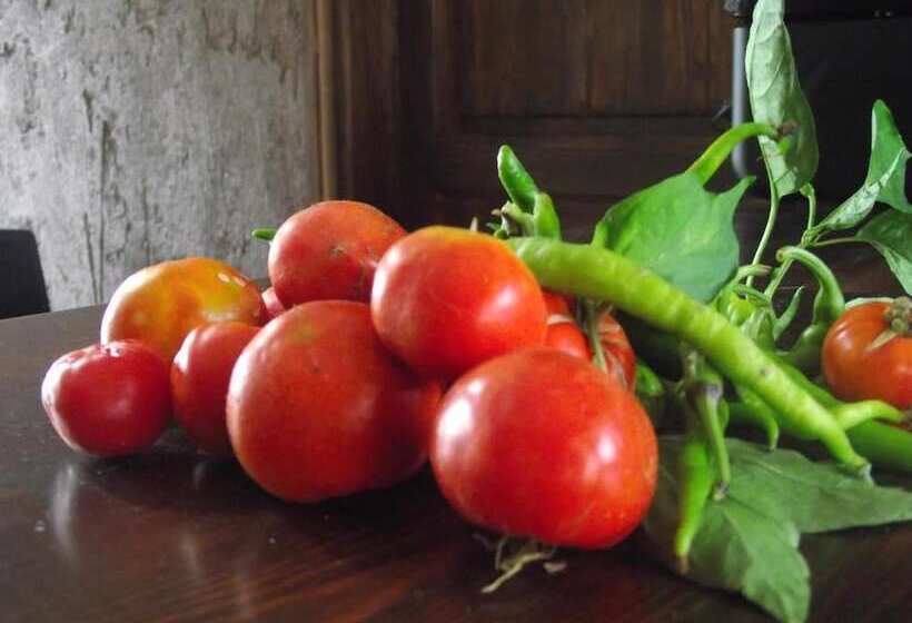 مبيت وإفطار Konak Lapeistra