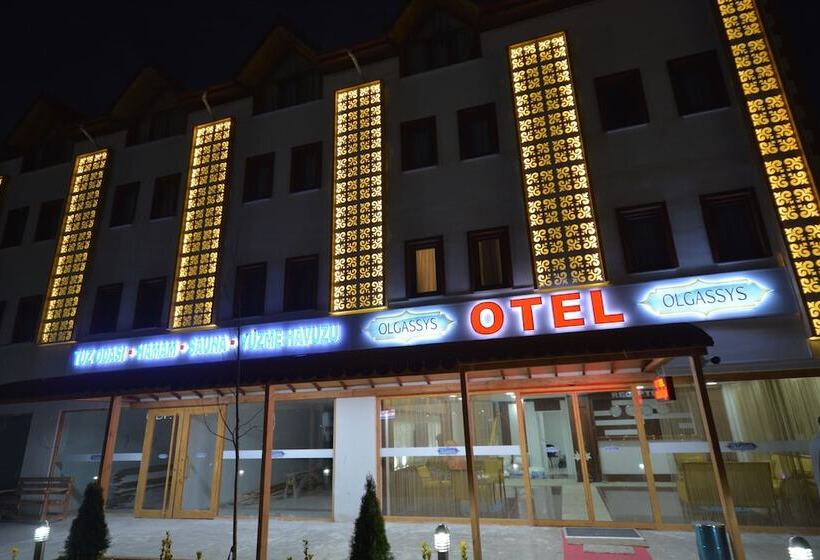 Olgassys Butik Otel