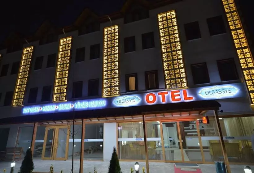 Olgassys Butik Otel