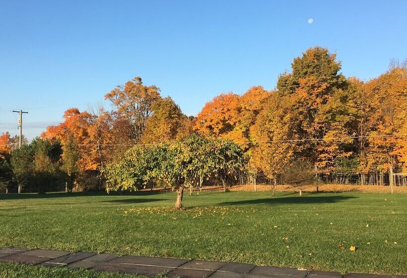 ペンション Ashling Acres