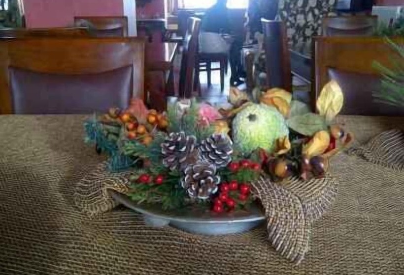 פנסיון Nefeli Guesthouse