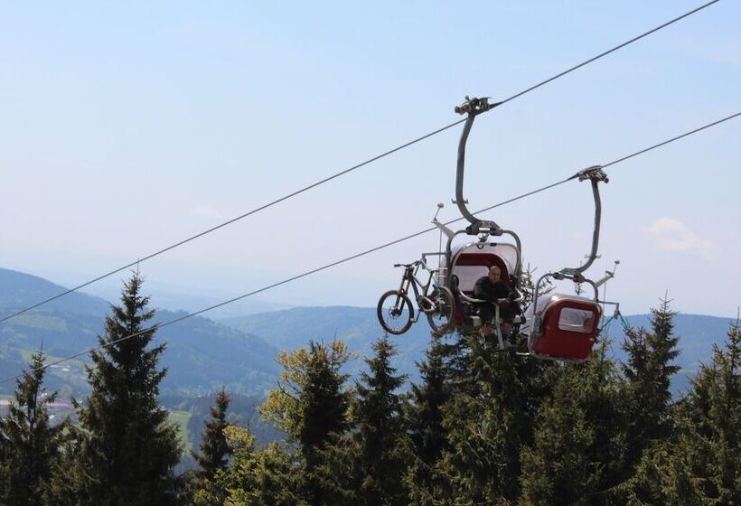 Waldpension Pfeiferhaus