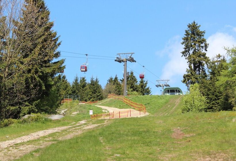 Waldpension Pfeiferhaus