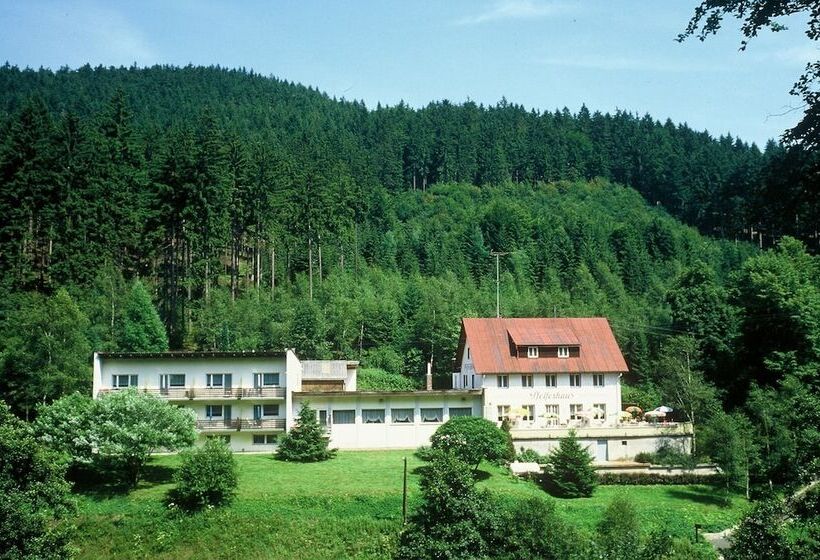 Waldpension Pfeiferhaus