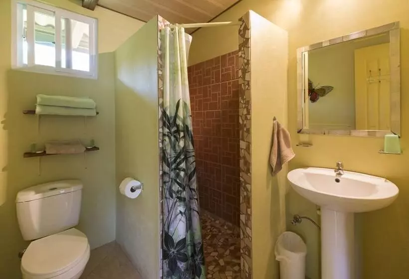 ベッドアンドブレックファースト Cabanas Los Colibris