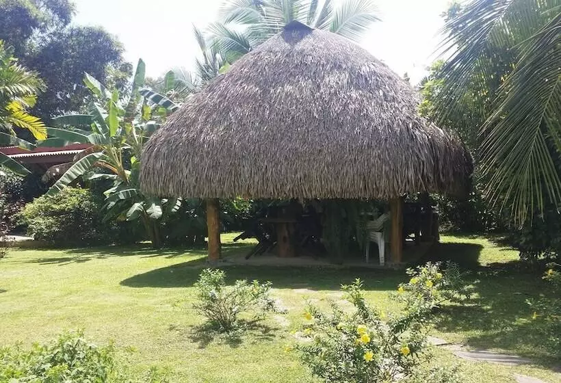 ベッドアンドブレックファースト Cabanas Los Colibris