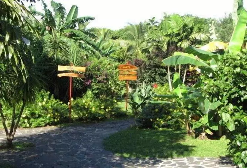 ベッドアンドブレックファースト Cabanas Los Colibris