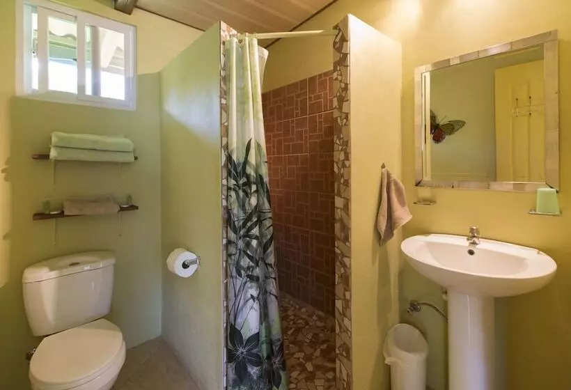 ベッドアンドブレックファースト Cabanas Los Colibris