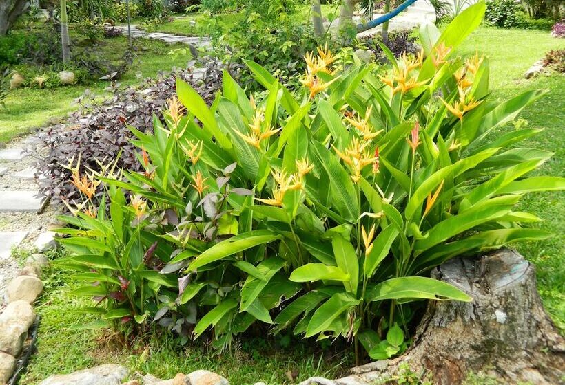 ベッドアンドブレックファースト Dlaaya Luxury Villas